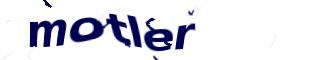 Captcha challenge image